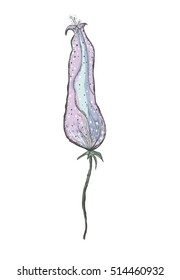Flower purple