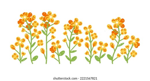 Flower rapeseed. All objects are isolated. Yellow cartoon canola branch, greeting card template, invitations, design element, horizontal banner.