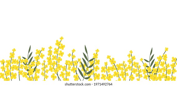 Flower rapeseed. Hand-drawn floral border with copy space. Yellow cartoon canola branch, greeting card template, invitations, design element, horizontal banner.  All objects are isolated.