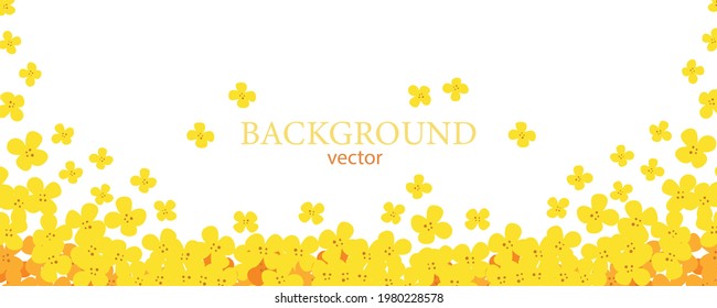 Flower rapeseed. Hand-drawn floral border with copy space. Yellow cartoon canola branch, greeting card template, invitations, design element, horizontal banner.  All objects are isolated.