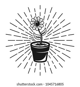 Flower with rays vector monochrome illustration in vintage style isolated on white background