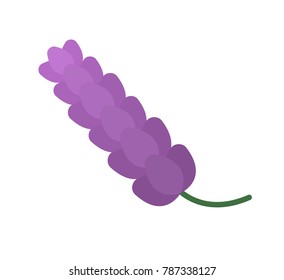 Flower realistic nature element vector illustration