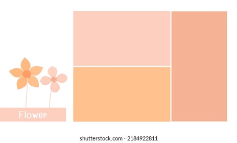 Blume, Rechteck, rosa und orangefarbene Hintergründe, Vektorgrafik.