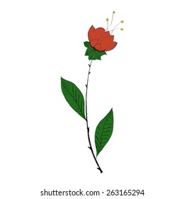 Flower with red bud on a white background.