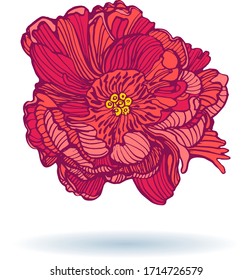 flower red hand drawing isolated on white background vector