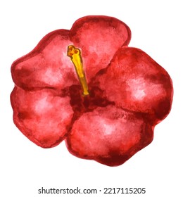 flower red hibiscus, watercolor illustration, hand drawing on isolated white background