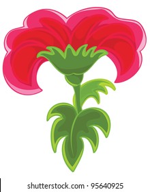 Flower red on a white background. Plant.