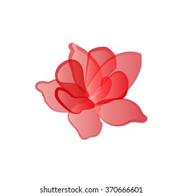 Flower with  red petals