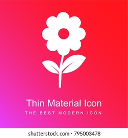 Flower red and pink gradient material white icon minimal design