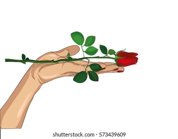 Flower red rose in his hand. Hand hands it to you. Present day Valenitina or Birthday. Greeting card with empty space for your text o radvertising. Vector illustration isolated on white background