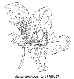 Flower rhododendron mountain shrub outline  on a white background  vintage bloom two vector illustration editable hand draw
