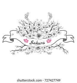 Flower ribbon of Sakura. Drawing and sketch on white background.