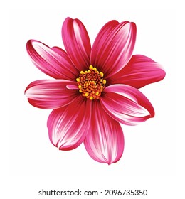 Flower of romance textile print flower design