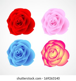 flower rose