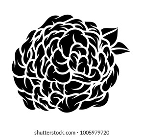 Flower rose, black and white. Isolated on white background. Vector illustration.