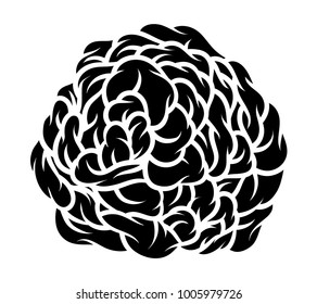 Flower rose, black and white. Isolated on white background. Vector illustration.