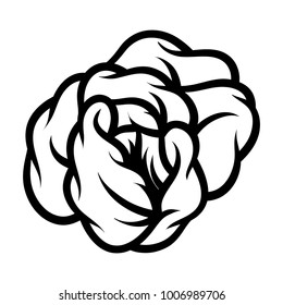 Flower rose, black and white. Isolated on white background. Vector illustration.