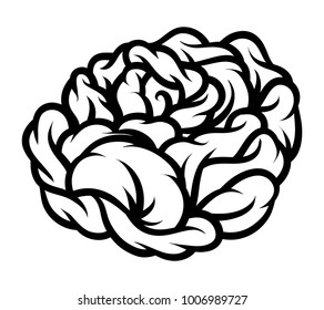 Flower rose, black and white. Isolated on white background. Vector illustration.