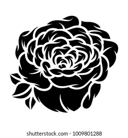 Flower rose, black and white. Isolated on white background. Vector illustration.