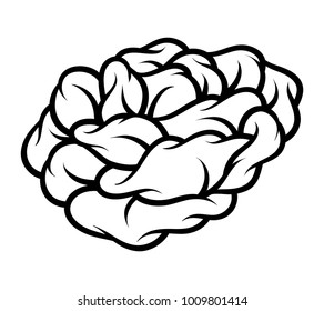Flower rose, black and white. Isolated on white background. Vector illustration.