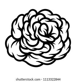 Flower rose, black and white. Isolated on white background.