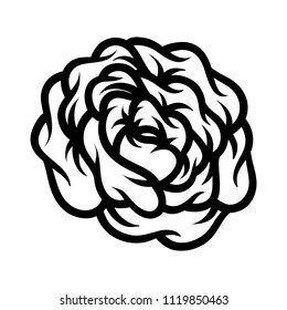 Flower rose, black and white. Isolated on white background.