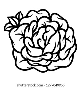 Flower rose, black and white. Isolated on white background.