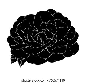 Flower rose, black and white. Isolated on white background. Vector illustration.