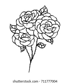 Flower rose, black and white. Isolated on white background. Vector illustration.