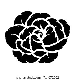 Rosa de flores, blanco y negro. Aislado sobre fondo blanco. Ilustración vectorial.