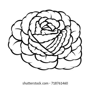 Flower rose, black and white. Isolated on white background. Vector illustration.