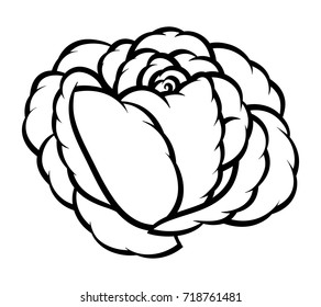 Rosa de flores, blanco y negro. Aislado sobre fondo blanco. Ilustración vectorial.