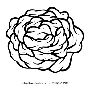 Rosa de flores, blanco y negro. Aislado sobre fondo blanco. Ilustración vectorial.