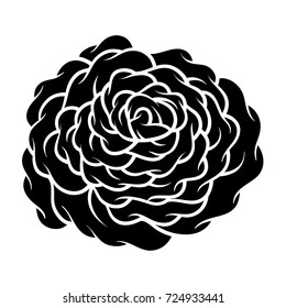 Flower rose, black and white. Isolated on white background. Vector illustration.