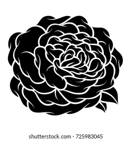 Flower rose, black and white. Isolated on white background. Vector illustration.
