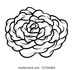 Flower rose, black and white. Isolated on white background. Vector illustration.