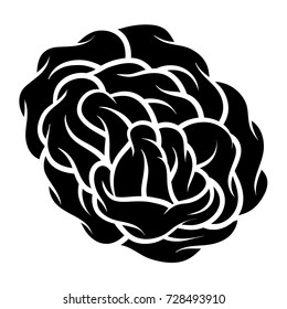 Flower rose, black and white. Isolated on white background. Vector illustration.