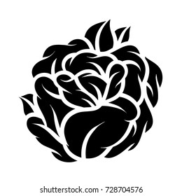 Flower rose, black and white. Isolated on white background. Vector illustration.