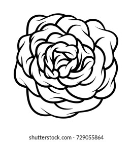 Flower rose, black and white. Isolated on white background. Vector illustration.