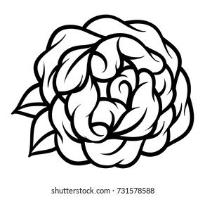 Flower rose, black and white. Isolated on white background. Vector illustration.