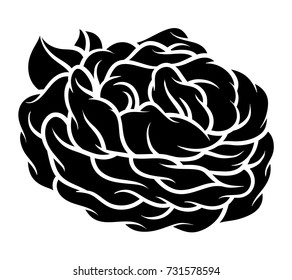 Flower rose, black and white. Isolated on white background. Vector illustration.