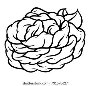 Flower rose, black and white. Isolated on white background. Vector illustration.