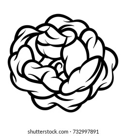 Flower rose, black and white. Isolated on white background. Vector illustration.