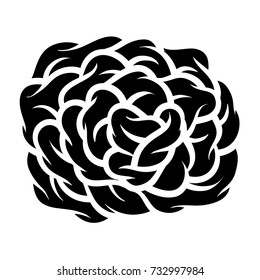 Flower rose, black and white. Isolated on white background. Vector illustration.