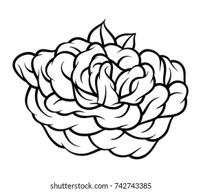 Flower rose, black and white. Isolated on white background. Vector illustration.