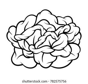 Flower rose, black and white. Isolated on white background. Vector illustration.