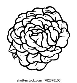 Flower rose, black and white. Isolated on white background. Vector illustration.