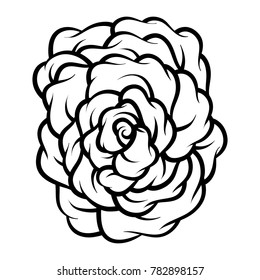 Flower rose, black and white. Isolated on white background. Vector illustration.