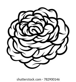 Flower rose, black and white. Isolated on white background. Vector illustration.