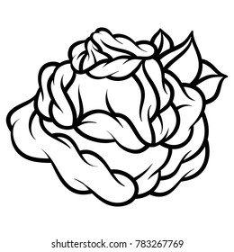 Flower rose, black and white. Isolated on white background. Vector illustration.